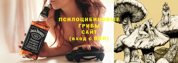 ПСИЛОЦИБИНОВЫЕ ГРИБЫ Алзамай