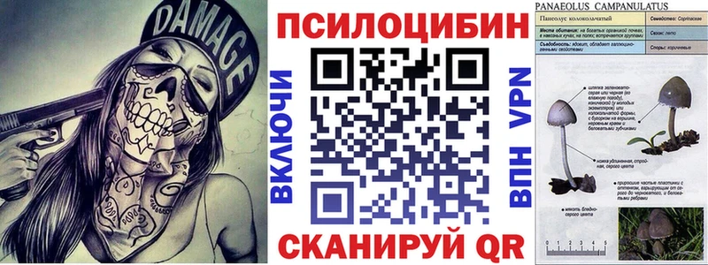 Галлюциногенные грибы мицелий  Якутск 